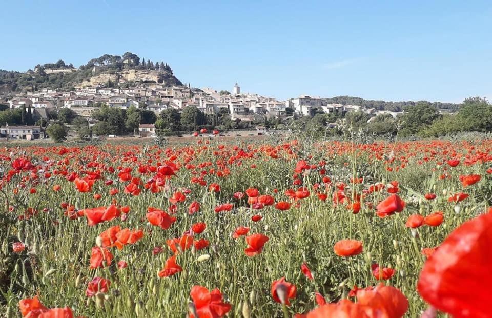 Apartamento L'AMANDERAIE à côté de LOURMARIN en LUBERON Cadenet Exterior foto